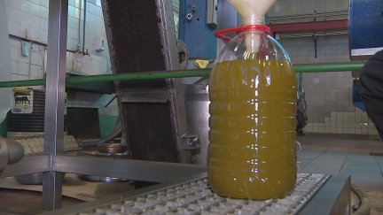 El Aceite del Somontano recibe este martes la Protección Nacional Transitoria. / Aragón TV