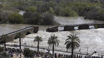 El puente romano de Talavera de la Reina no ha resistido la fuerza del Tajo. / EFE
