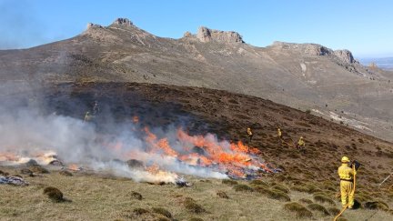 Quema en Calcena durante el último día del plazo. / Gobierno de Aragón