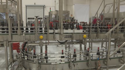 El sector del vino es uno de los más afectados por los aranceles a las exportaciones a Estados Unidos. / Aragón TV