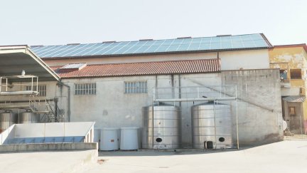 Placas solares instaladas en una bodega de Maluenda (Zaragoza). / Aragón TV