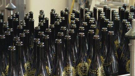 Los productores de vino temen a la incertidumbre más que a la subida de precios. / Aragón TV