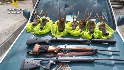 Trofeos de caza y armas intervenidas a los denunciados. / Guardia Civil Huesca