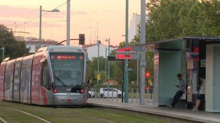 El servicio del tranvía se ha restablecido a primera hora de la mañana del martes. / Aragón TV