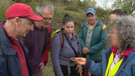 Uno de los fósiles hallados en Gelodía (Teruel)./ Aragón TV