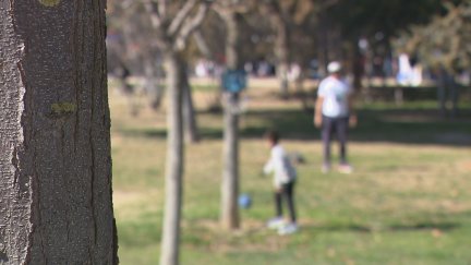 Un niño juega con su padre en un parque de Zaragoza. / Aragón TV