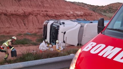 Camión volcado sobre la vía pecuaria. / Diputación de Zaragoza