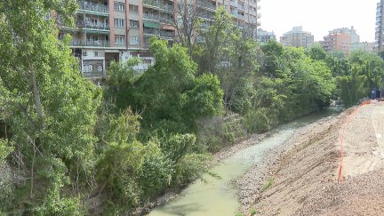 Rivera del río Huerva donde se encuentran los ailantos. / Aragón TV