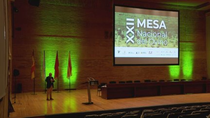El sector genera empleo en el medio rural y solo el año pasado sus ventas superaron los 130 millones de euros. / Aragón TV