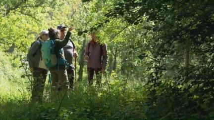 El parque natural del Moncayo es uno de los tesoros de la Comunidad. / Aragón TV