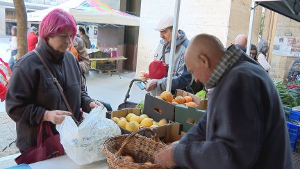 Muestra agroecológica de Zaragoza. / Aragón TV