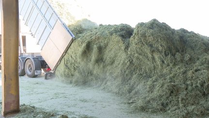 La campaña de la alfalfa deshidratada empieza en el mes de abril. / Aragón TV