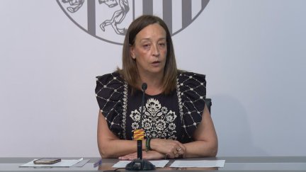 Carmen Susín, durante la rueda de prensa en la que ha presentado los datos de menores extranjeros no acompañados. / Aragón TV