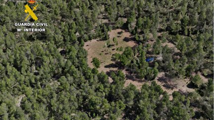 La plantación se encontraba en un lugar en el que ya se había actuado con anterioridad. / Guardia Civil