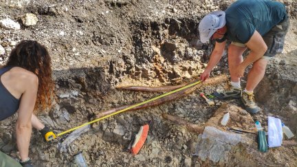 Los paleontólogos de Dinópolis miden el diente encontrado. / Fundación Dinópolis