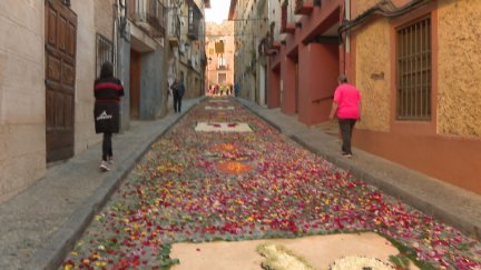 Calles decoradas con pétalos de flores y serrín de colores en Daroca. / Aragón TV