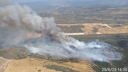 El incendio ha quemado de momento 60 hectáreas de monte. / Infoar