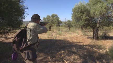 Actualmente, hay 28.000 cazadores federados en Aragón que poseen licencia y seguro. / Aragón TV