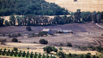 Vista de una de las zonas quemadas por el primer gran incendio forestal del año en España, que ha ocasionado la muerte de dos personas / EFE. Álex López