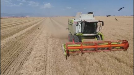 Cosechadora trabajando en la recolección del cereal./ Aragón TV