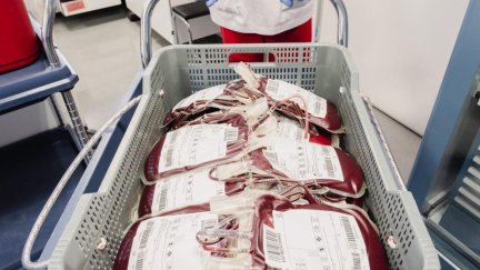 Arranca la campaña “¿Y si fueras tú? Donar no duele, necesitarlo, sí”. / Foto: Gobierno de Aragón.