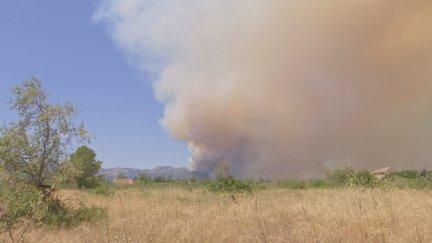Las llamas han arrasado una superficie de unas 500 hectáreas. / Aragón TV