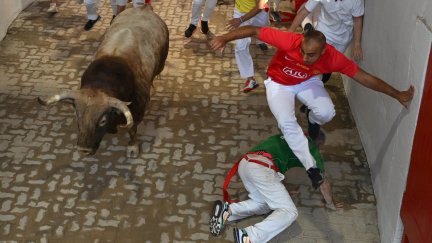 Varios mozos acompañan a uno de los toros de la ganadería Victoriano del Río Cortés. / EFE