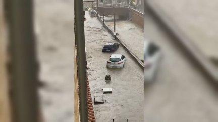 Imágenes de este viernes en Tarazona.