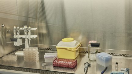 Concedidas 19 ayudas pioneras en Aragón para contratar a jóvenes doctores investigadores. / EP