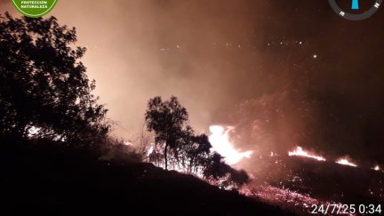 Así estaba el incendio sobre la medianoche del miércoles. / Infoar