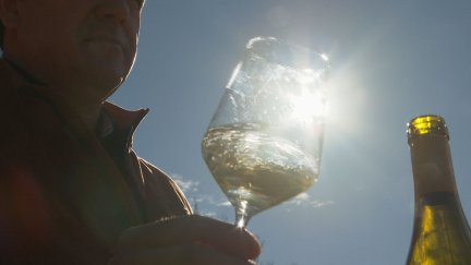 El Festival Vino Somontano cumple 25 años. / Aragón TV