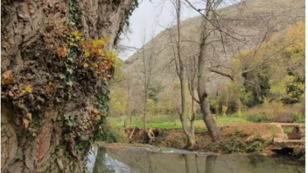 Cauce del río Piedra. / Europa Press