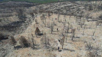 Corbalán se recupera del fuego que arrasó 240 hectáreas en 2024. / Aragón TV