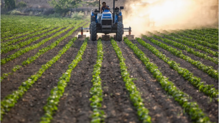 Los jóvenes agricultores han recibido una ayuda media de 5.101 euros. / Canva
