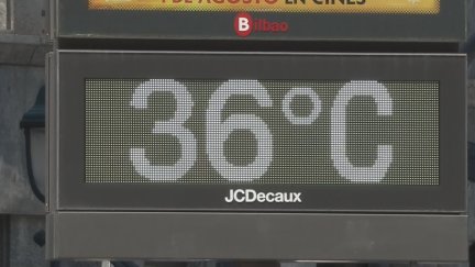 Los termómetros podrán alcanzar los 36 grados en buena parte de Aragón. / Aragón TV