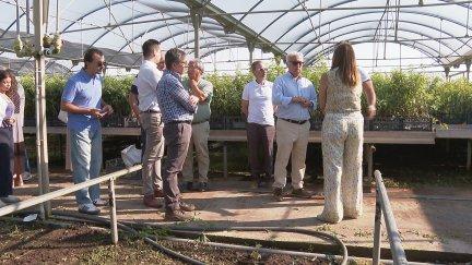 El consejero de Agricultura, Javier Rincón, en la visita al Vivero de Abel en Caspe (Zaragoza). / Aragón TV