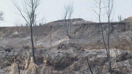 El incendio ha dejado un paisaje desolador en la zona. / Reuters