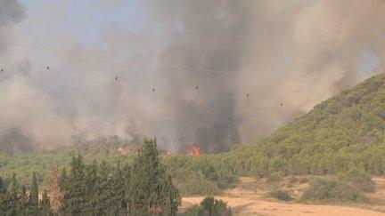 El intenso humo llevó a aconsejar a los vecinos que cerrasen las ventanas de sus casas. / Forta