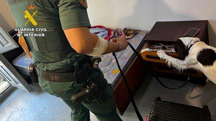 La operación ha contado con la colaboración de los agentes caninos de la Comandancia de Zaragoza. / Guardia Civil