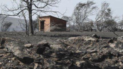 Zona arrasada por el incendio forestal de Abejera (Zamora). / EFE. Mariam A. Montesinos