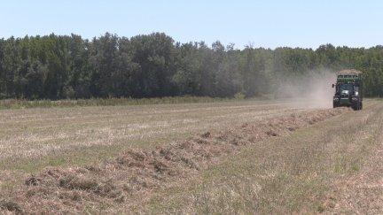 Los daños provocados por el riesgo de incendio están cubiertos por el seguro agrario / Aragón TV