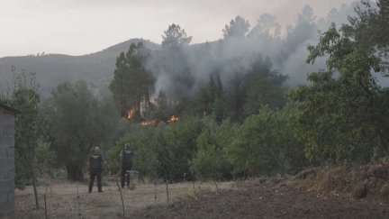 Actualmente hay 188 investigaciones policiales en curso y 93 personas más figuran como investigadas / Reuters