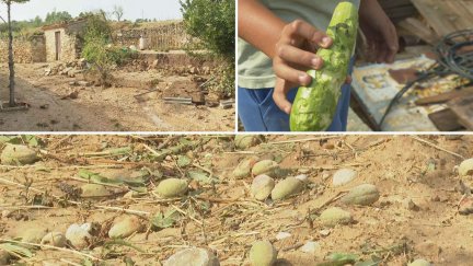 Daños en La Codoñera por la tormenta acompañada de granizo. / Aragón TV