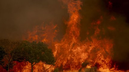 Incendio en A Gudiña (Ourense). / EFE