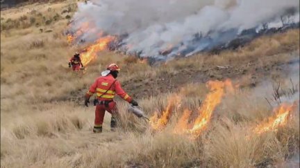 Efectivos de la UME en uno de los incendios de la provincia de León. / Forta