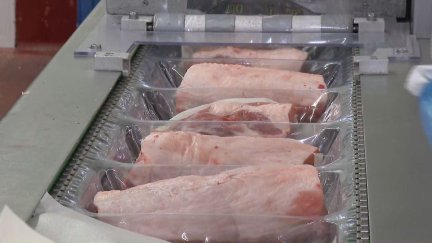 El sector porcino aragonés tiene en China a uno de sus principales clientes. / Aragón TV
