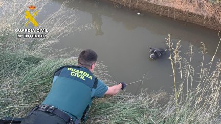 Después de varios intentos, los agentes consiguieron sacar del interior del agua a la perra. / G.C.