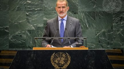 El rey se ha dirigido al Gobierno de Israel: "clamamos, imploramos, exigimos, detengan ya esta masacre / Europa Press