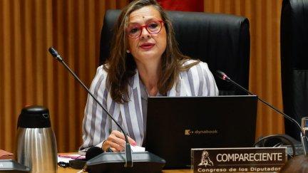La delegada del Gobierno contra la Violencia de Género, Carmen Martínez Perza, en el Congreso de los Diputados. / EFE