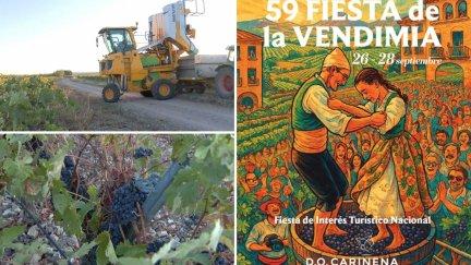 Un campo de la D.O, Cariñena en plena vendimia este viernes y el cartel de la 59 Fiesta de la Vendimia. / Aragón TV